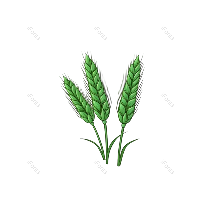 芒种图片,元素元素,小满PNG,丰收免抠素材